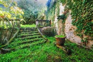 Ecological Restoration of Your Garden