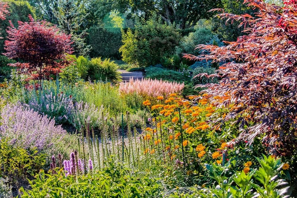 Why is Ecological Restoration Beneficial for your Garden?