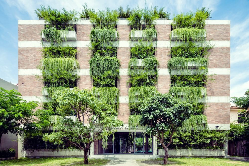 Vertical gardens solve space problem and promotes food security