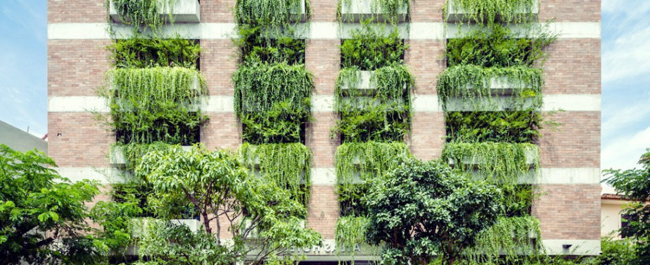 Vertical gardens solve space problem and promotes food security